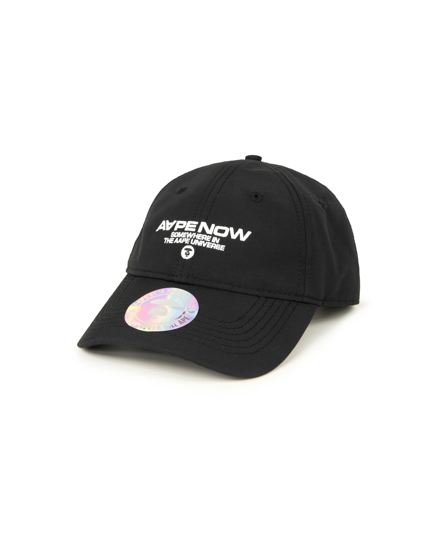 AAPENOW logo cap