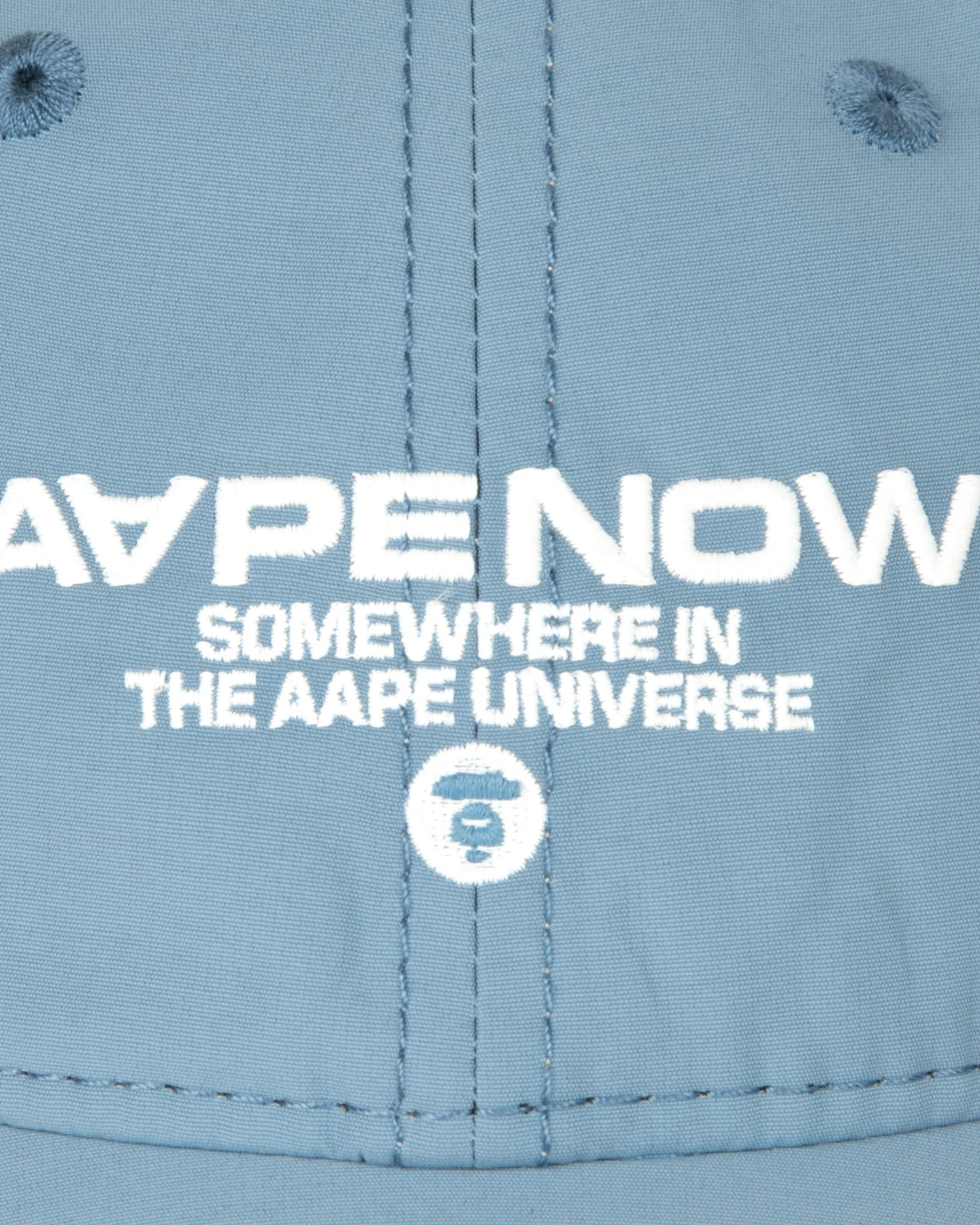 AAPENOW logo cap - Image 14