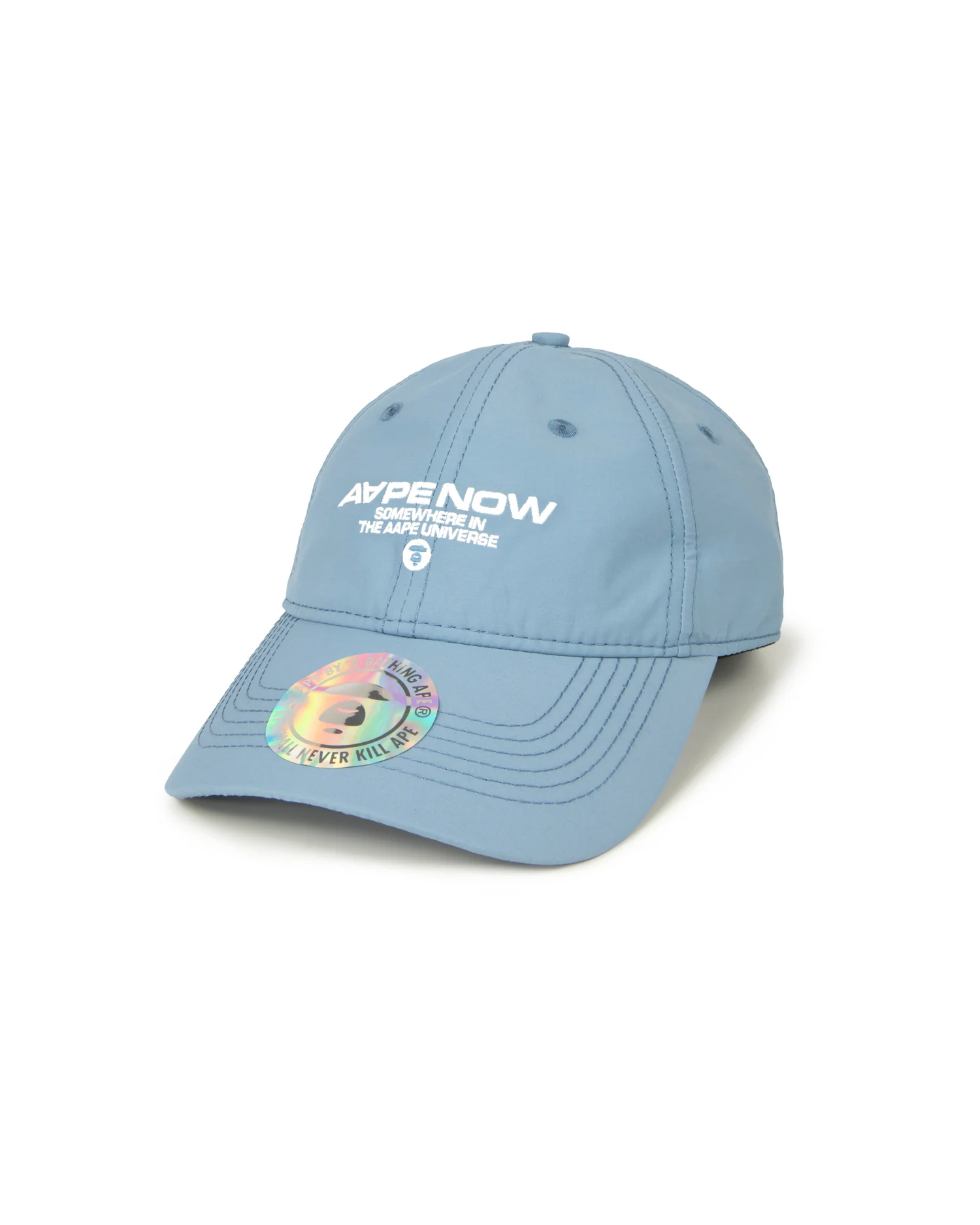 AAPENOW logo cap - Image 8