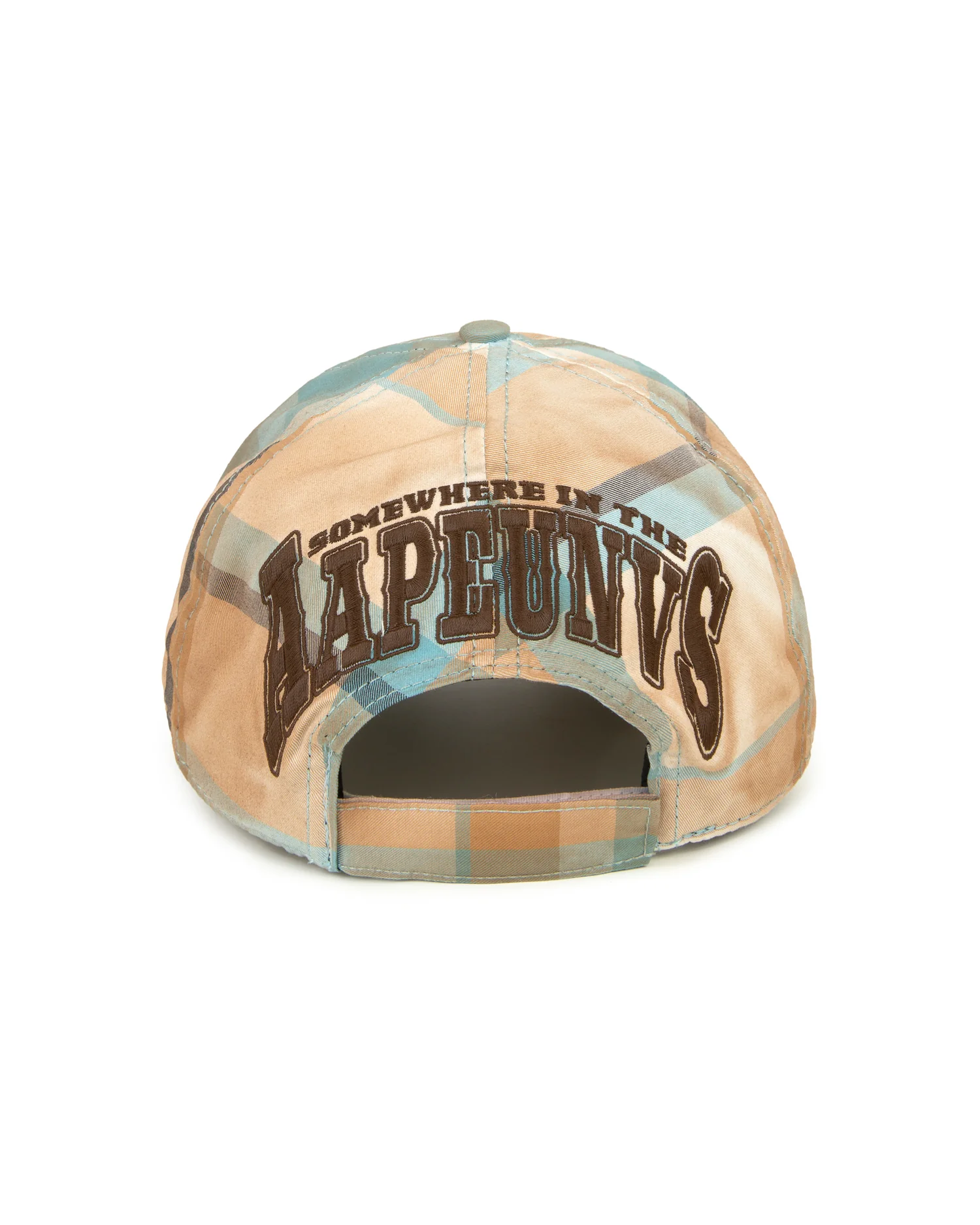 AAPEUNVS check cap - Image 2