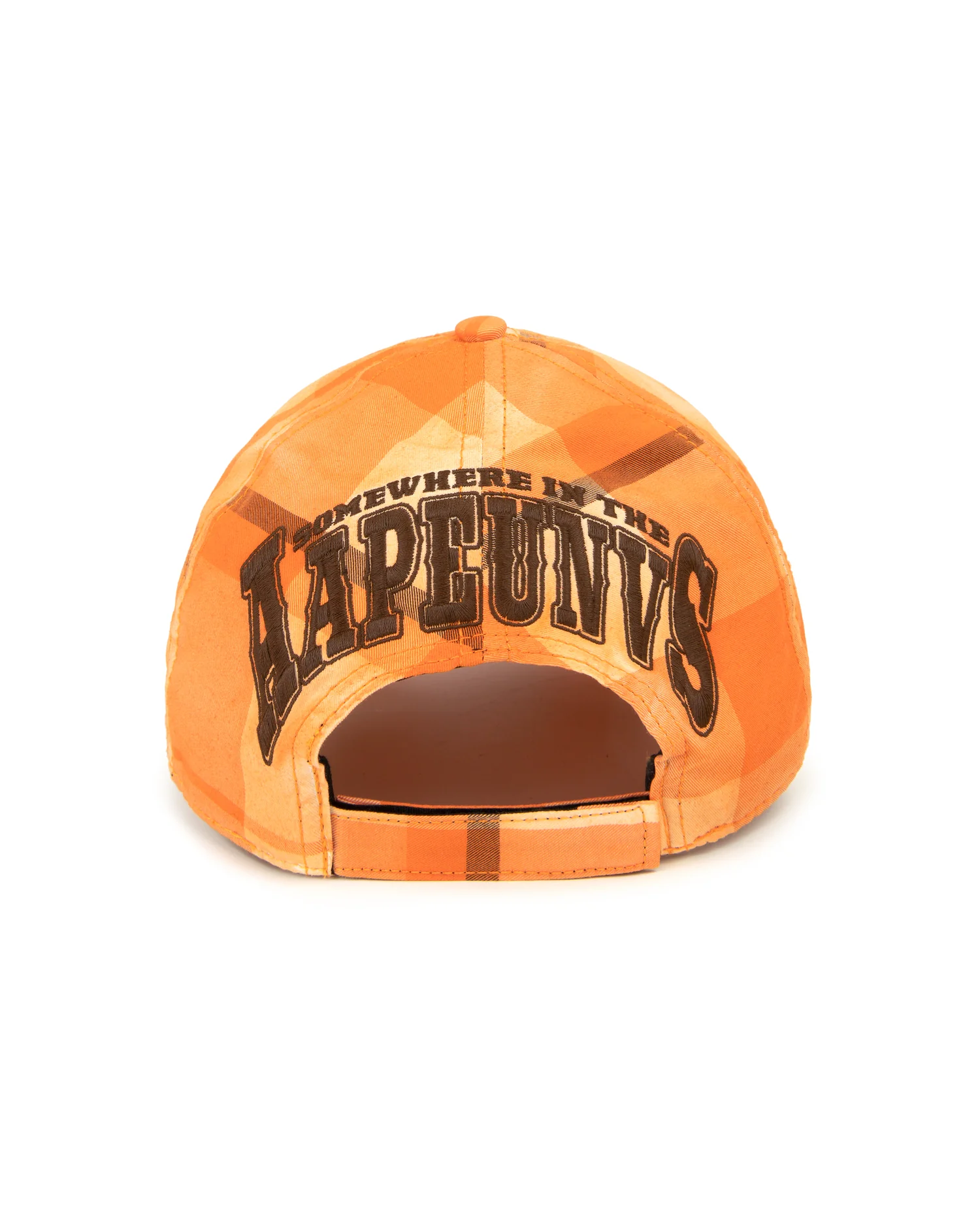 AAPEUNVS check cap - Image 7