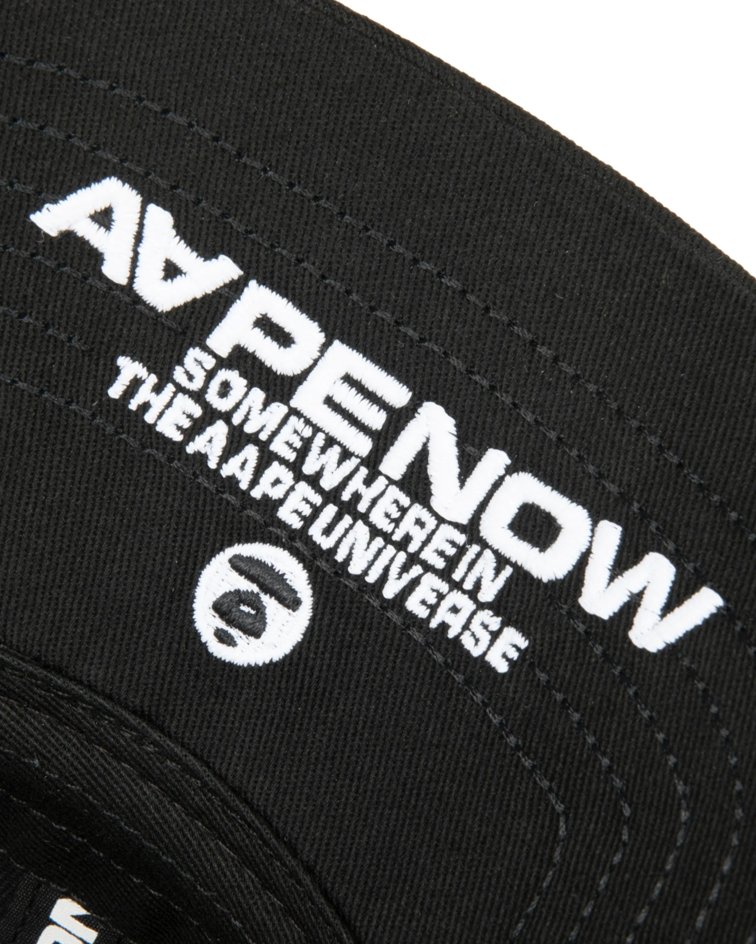 AAPENOW logo cap - Image 5
