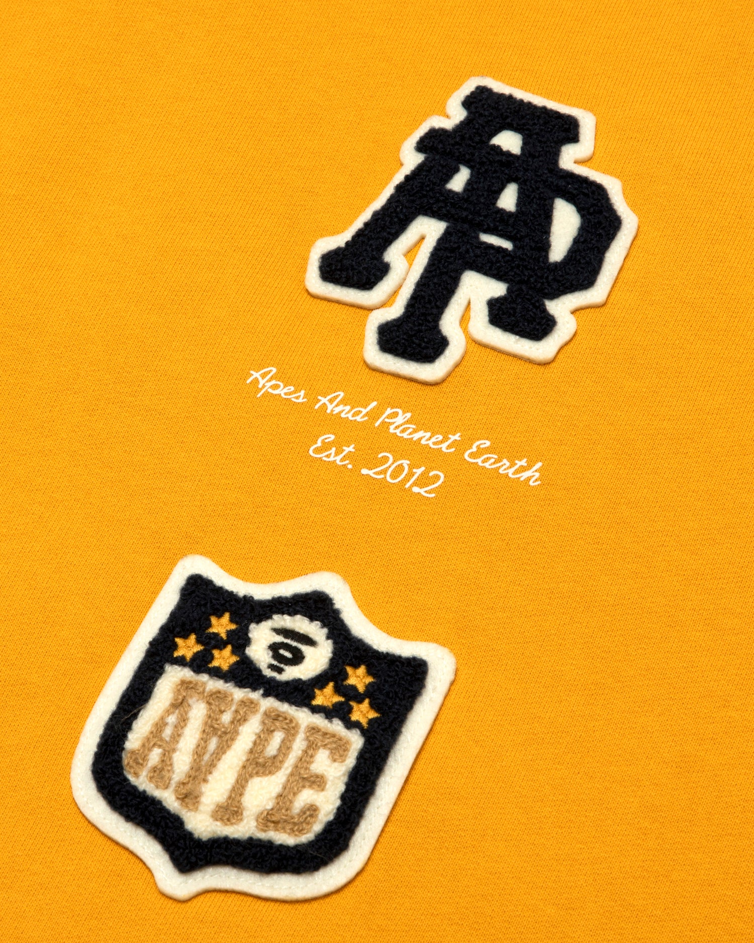 AAPEUNVS embroidered hoodie - Image 11