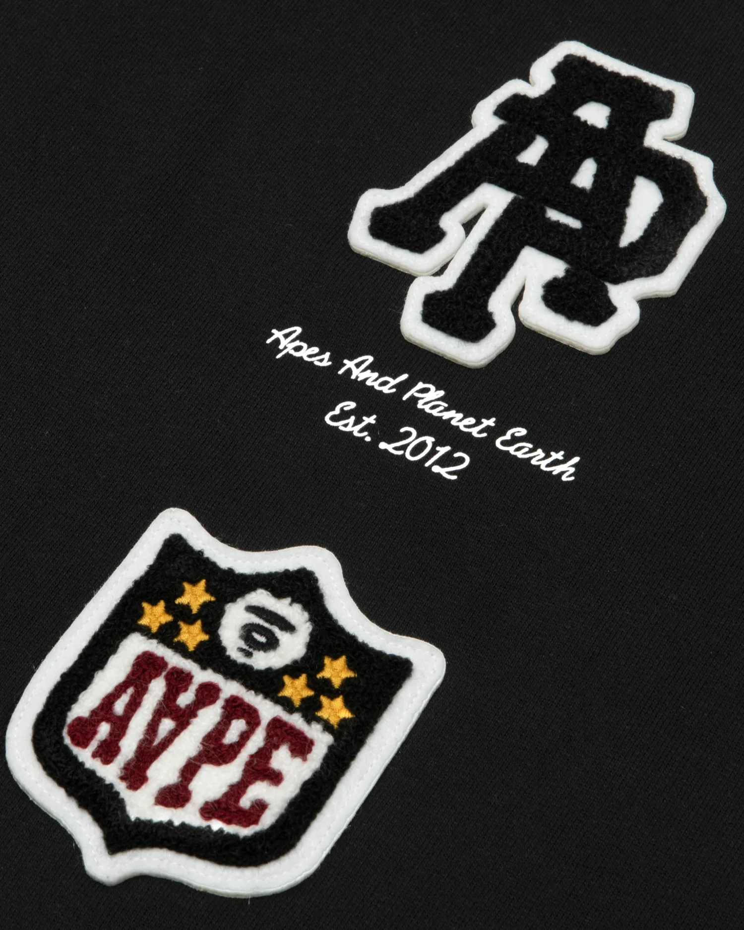 AAPEUNVS embroidered hoodie - Image 4