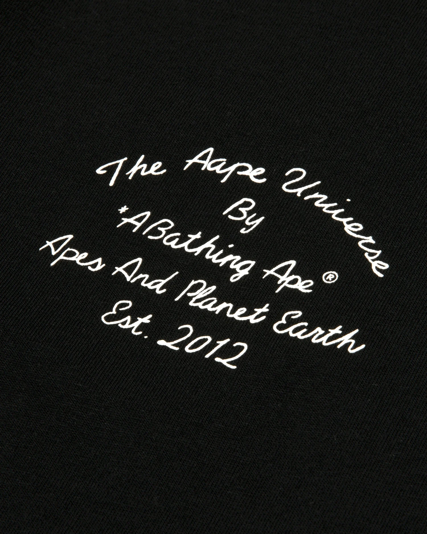 AAPEUNVS logo tee - Image 3