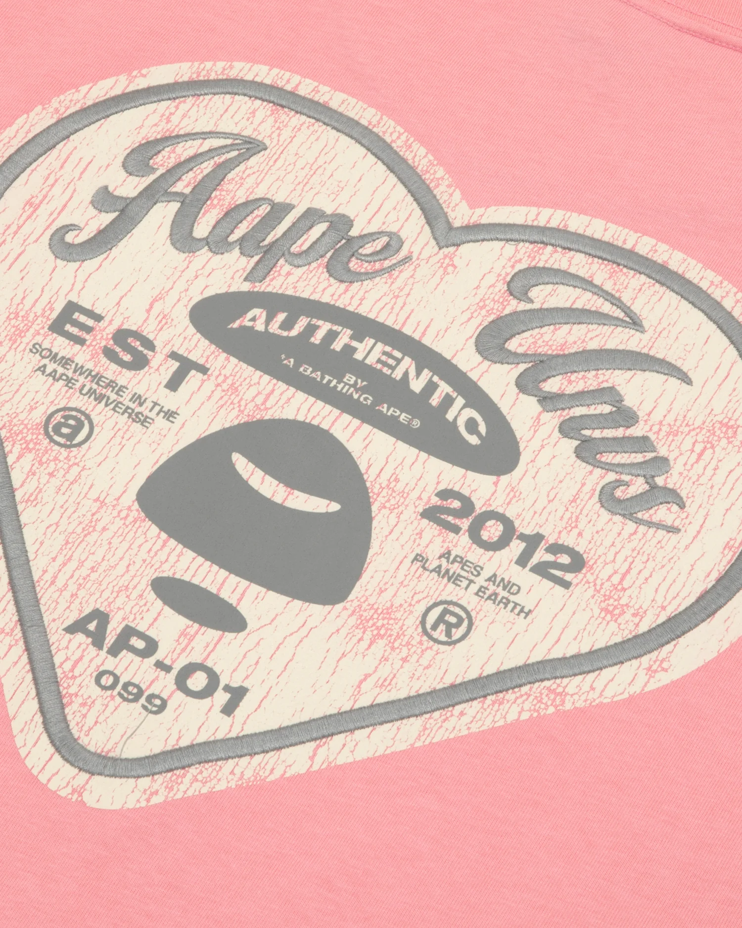 AAPEUNVS graphic tee - Image 15